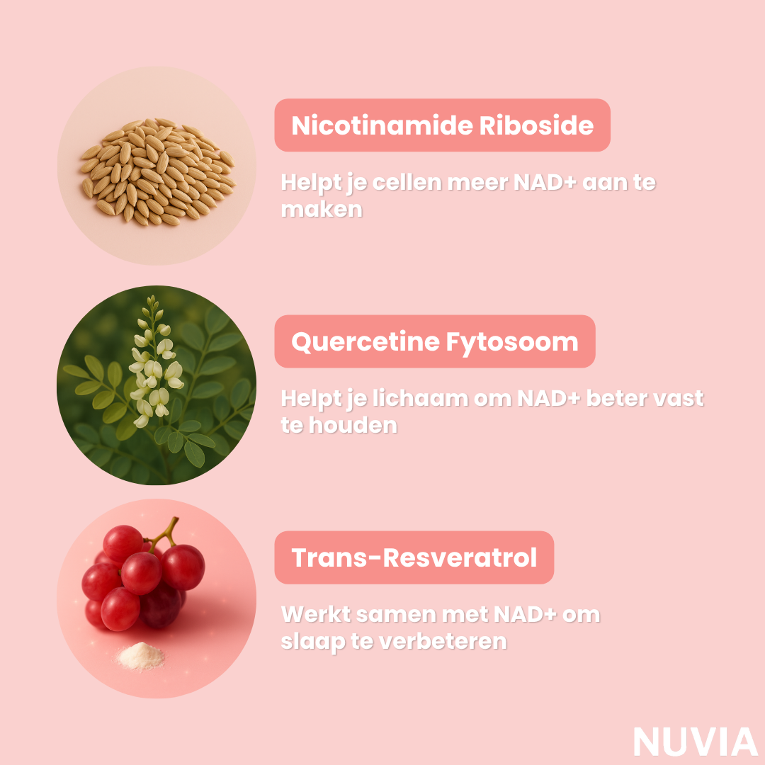 Capsules de sommeil NAD+