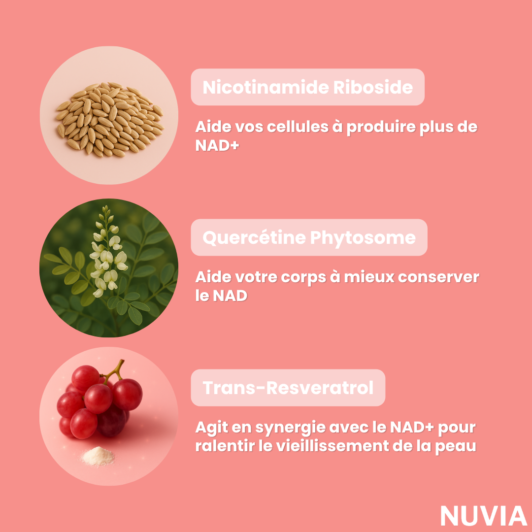 Capsules de rajeunissement au NAD+