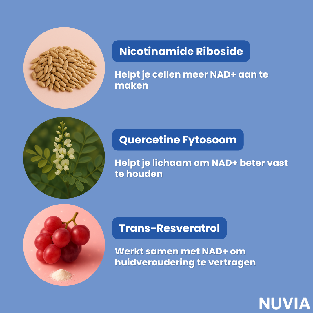 Nuvia | Capsules NAD+ Energy Boost