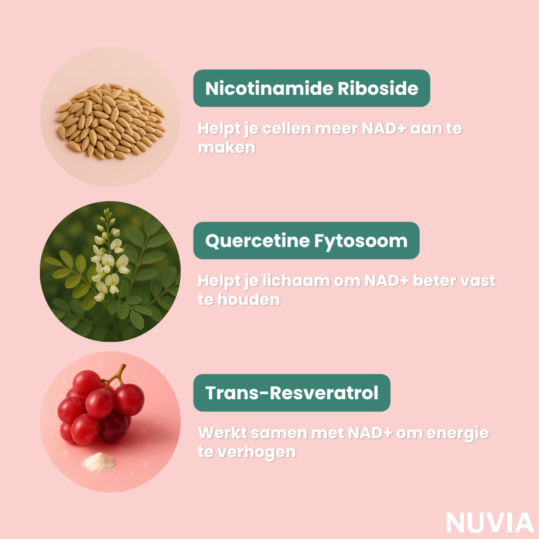 Nuvia | Capsules NAD+ Energy Boost