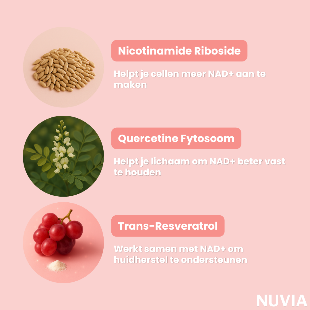 NAD+ Clear Skin Capsules