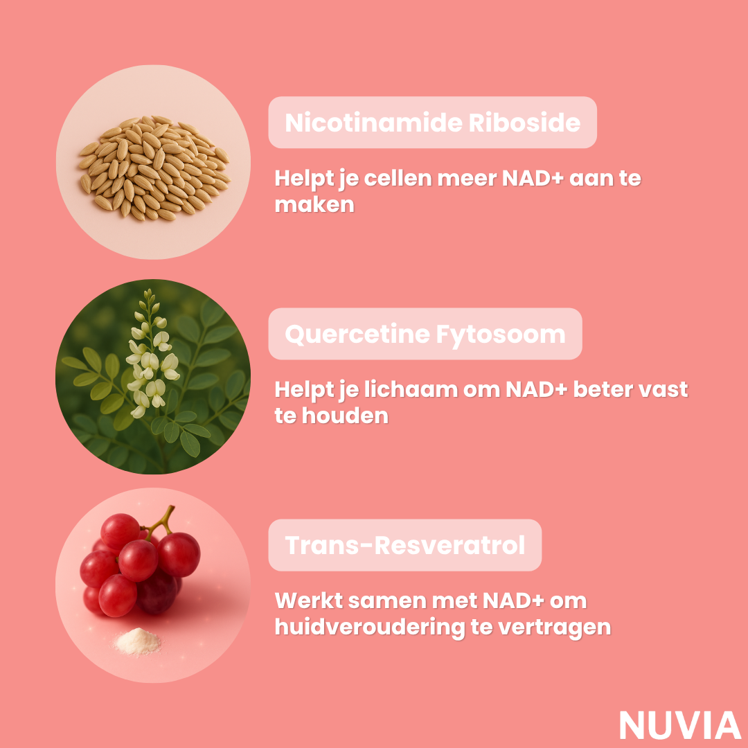 Capsules NAD+ Jeunesse